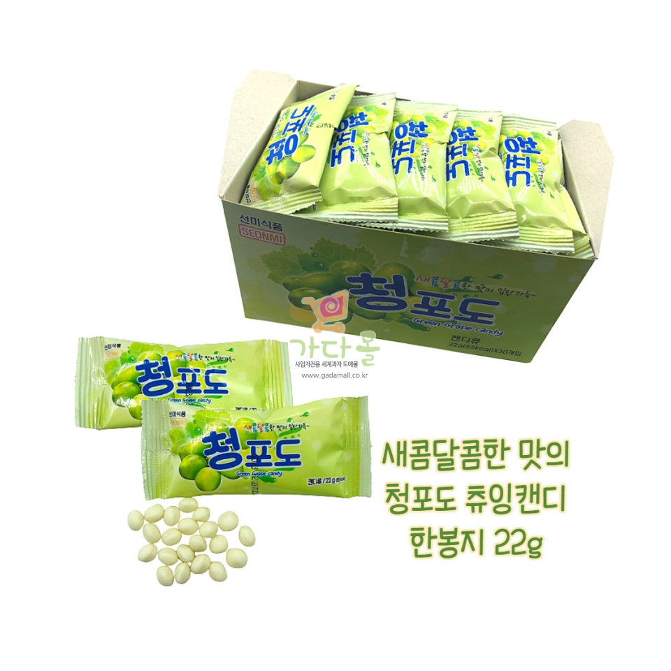 300 선미식품 청포도맛 22g*30개